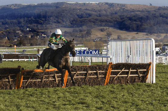 Cheltenham 2025 Champion Hurdle Betting Offers & Tips